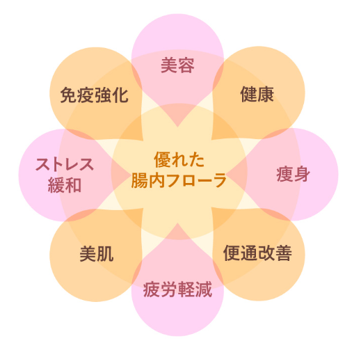 がん免疫療法