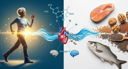 長生きしたいなら必須！オメガ3脂肪酸が寿命を延ばす5つのメカニズム